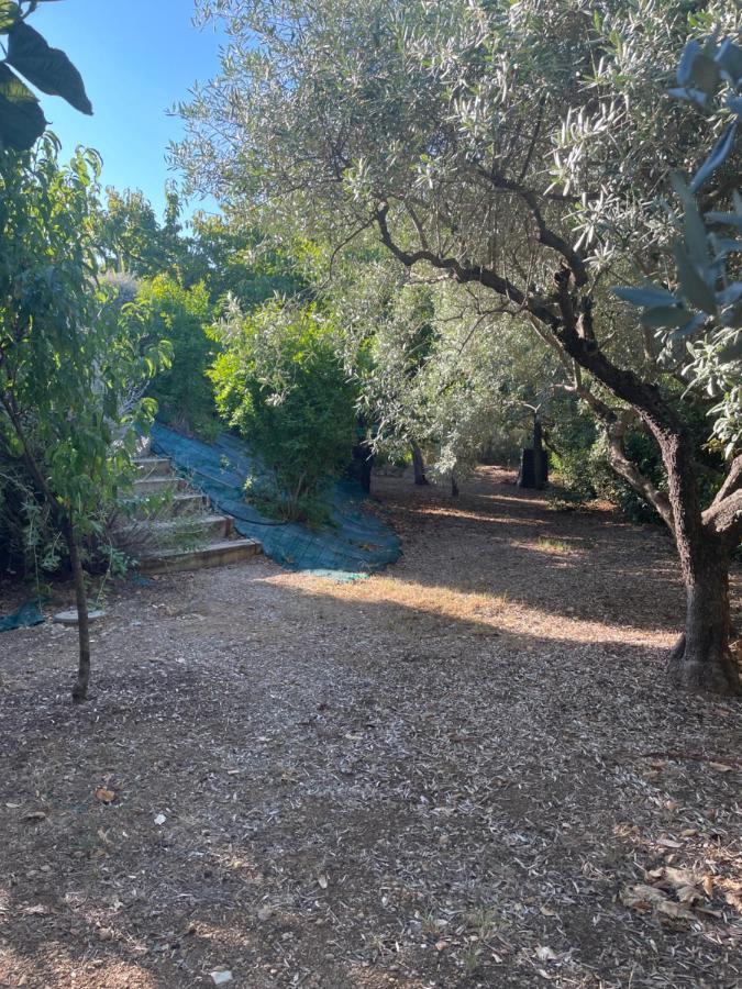 Villa 180 m2 piscine chauffée Draguignan Exterior foto